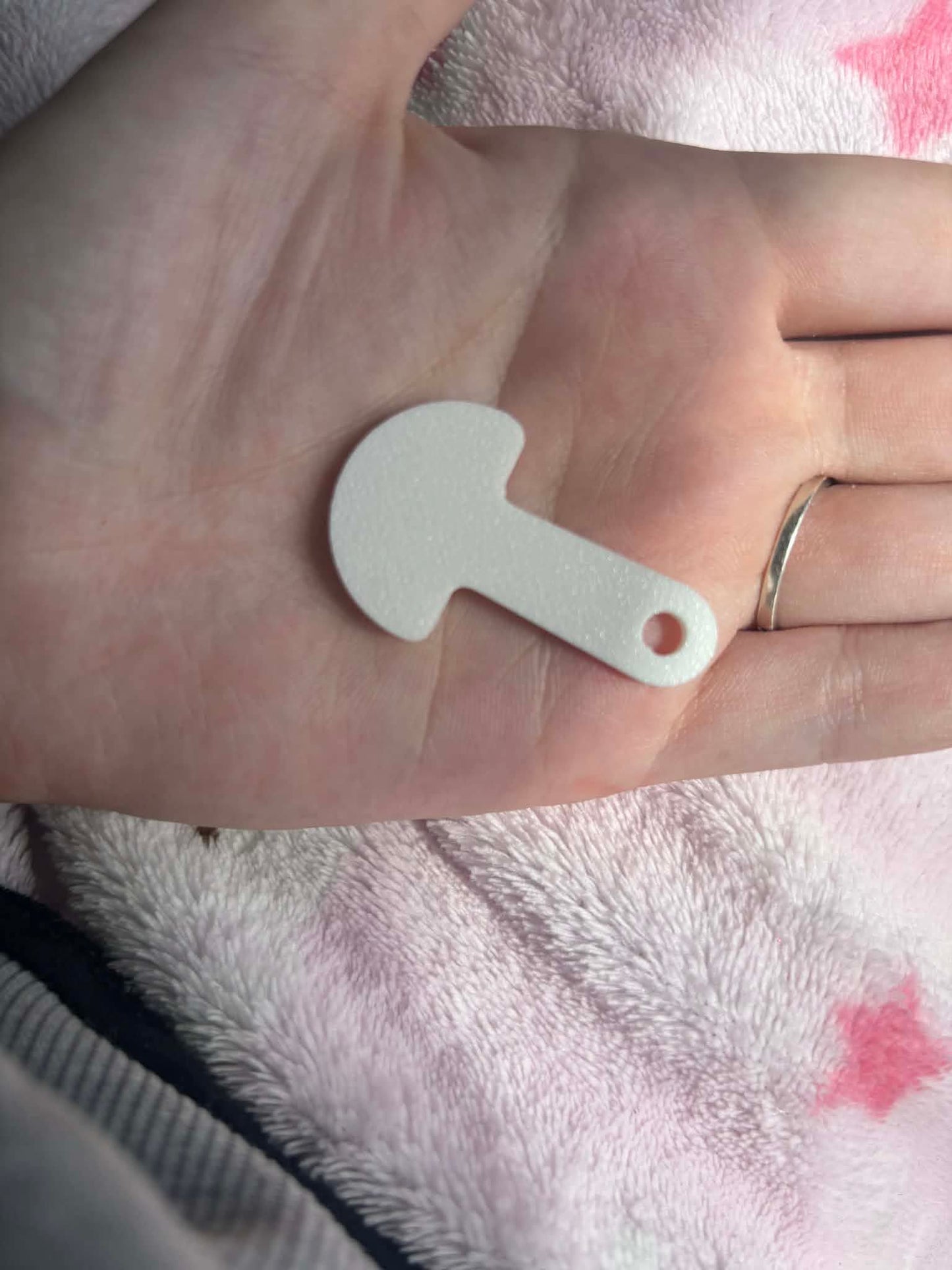 Trolley token
