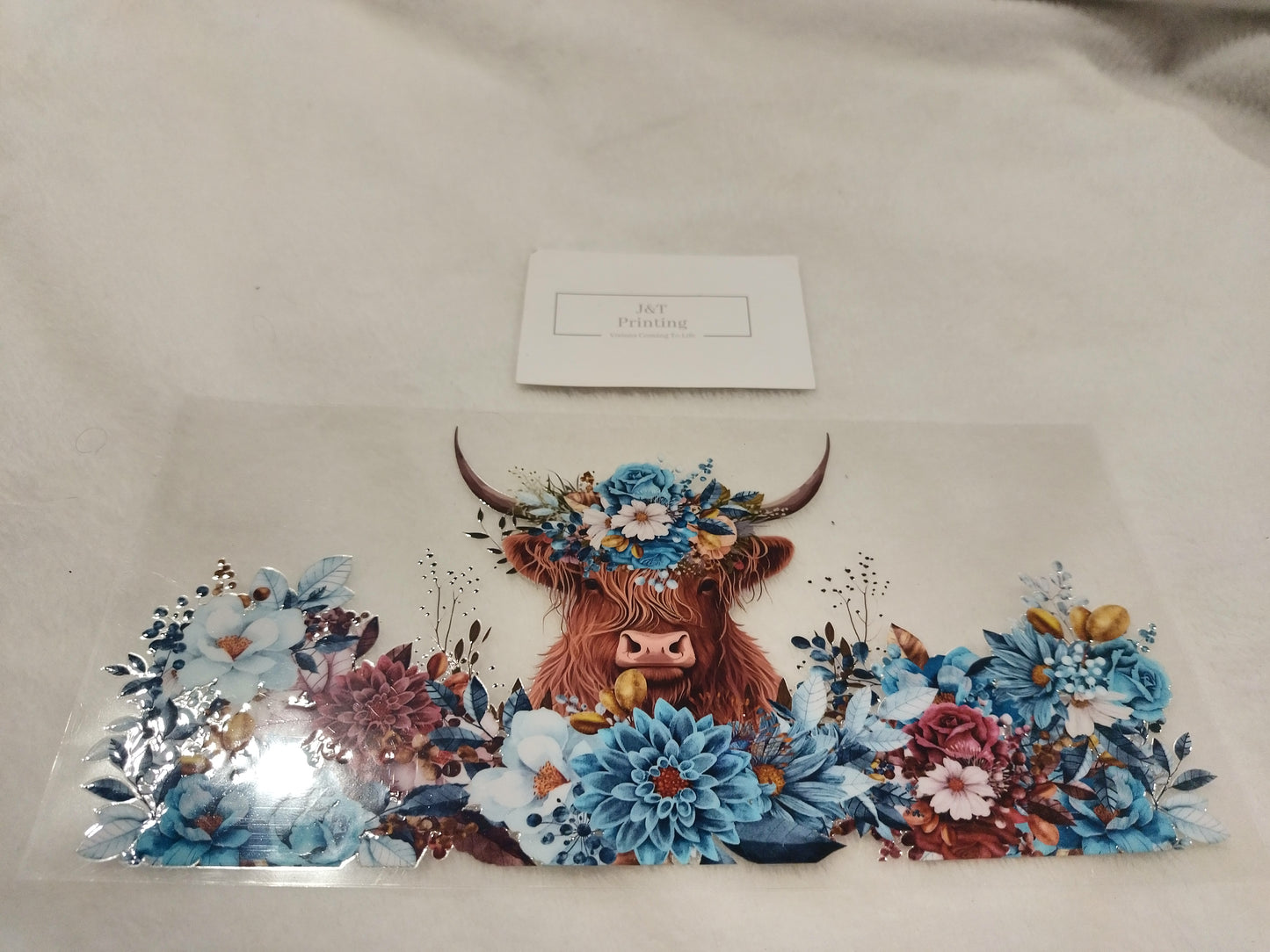 Highland cow