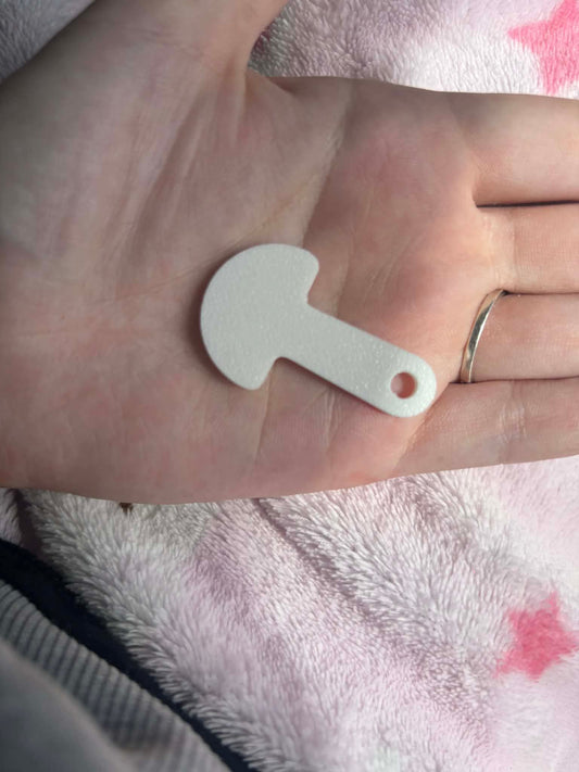 Trolley token