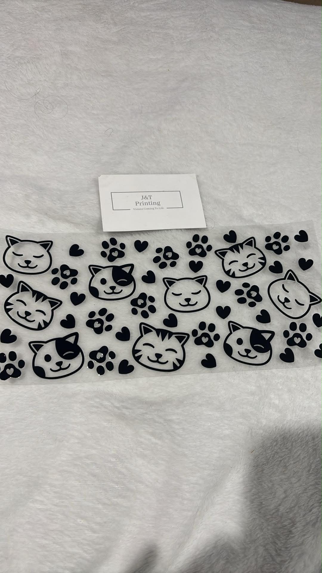 16oz cat